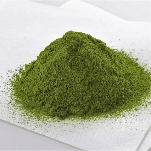 Uji Matcha Lemon Yokan Hojicha Yuzu Yokan　8 pieces